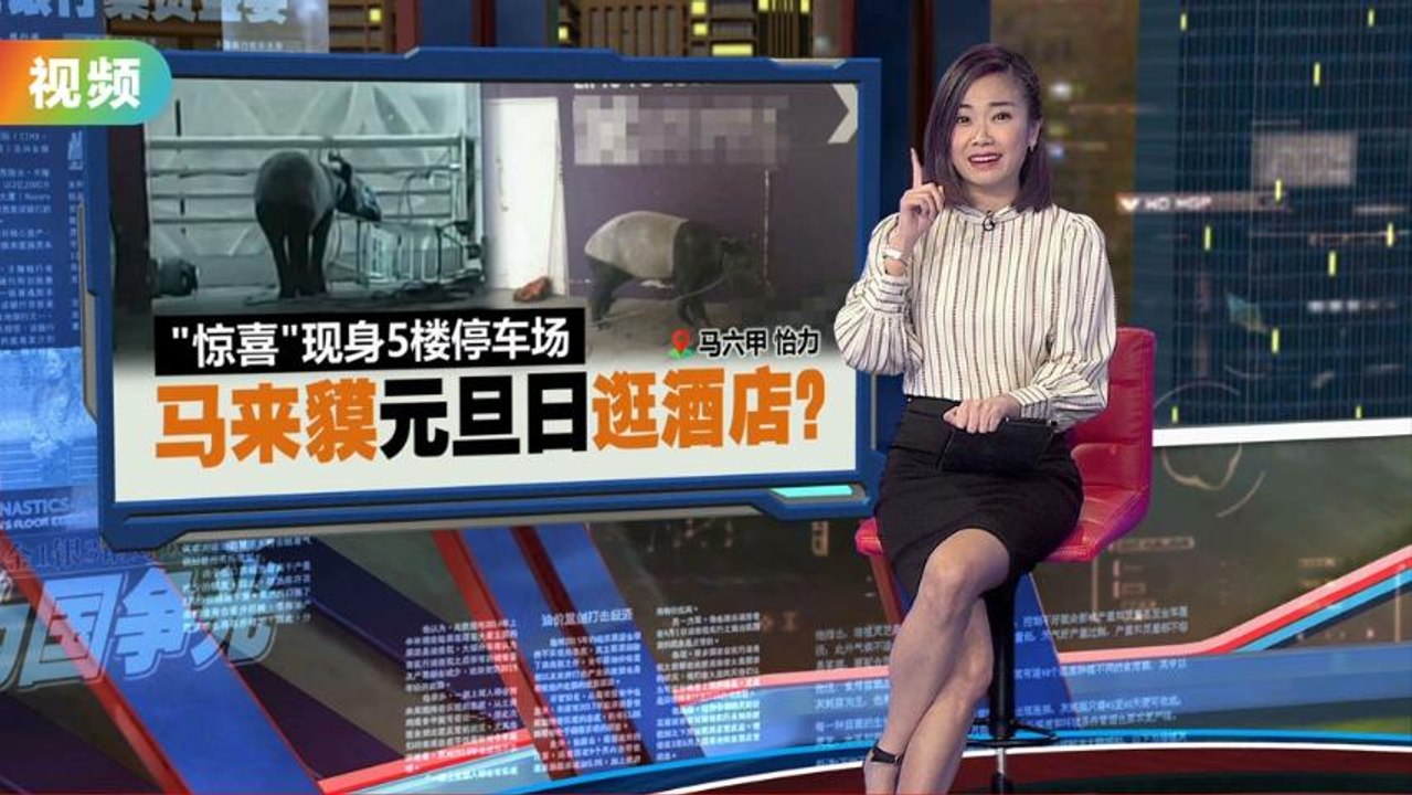“惊喜”现身5楼停车场   马来貘元旦日逛酒店？