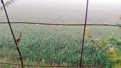 कड़ाके की सर्दी के साथ हुआ नए साल का आगाज ,माउंट आबू शून्य, फतेहपुर एक और चूरू 1.6 डिग्री सेल्सियस