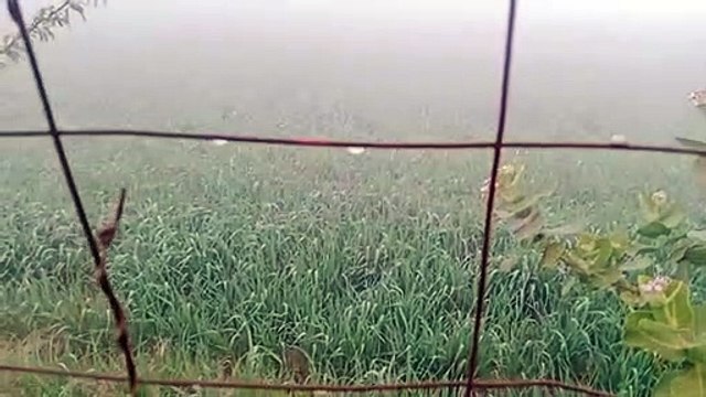 कड़ाके की सर्दी के साथ हुआ नए साल का आगाज ,माउंट आबू शून्य, फतेहपुर एक और चूरू 1.6 डिग्री सेल्सियस