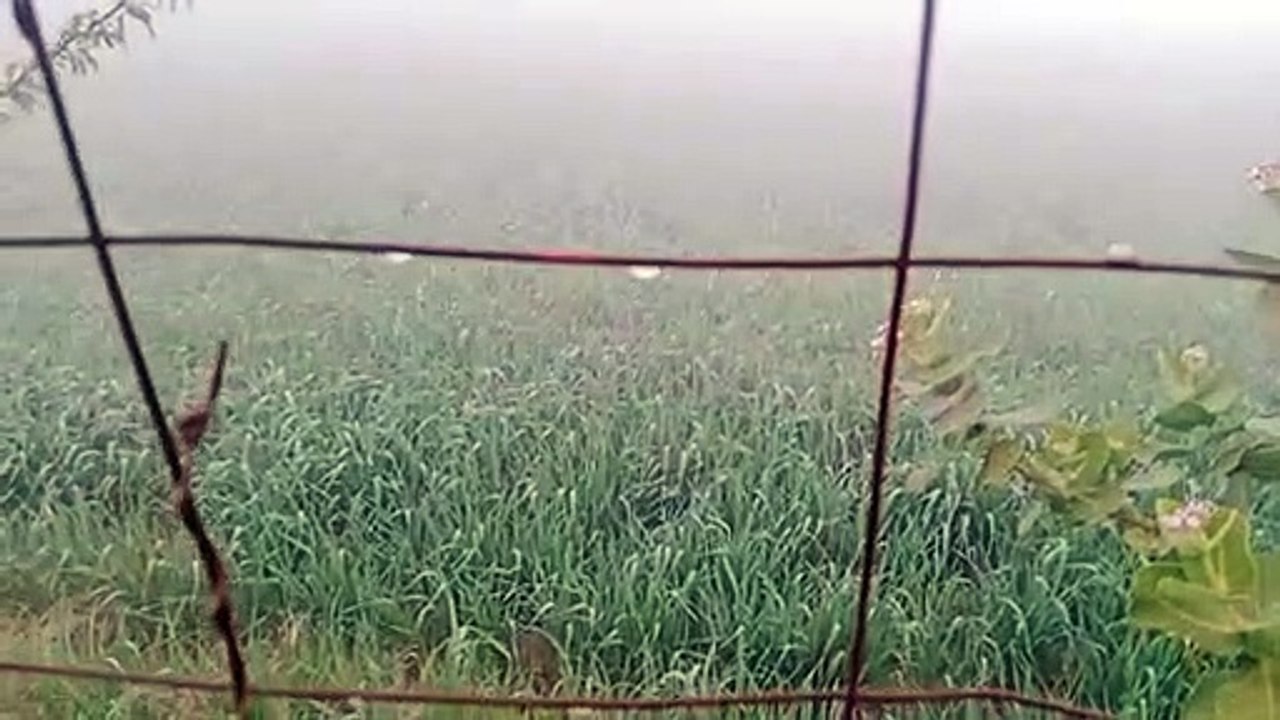 कड़ाके की सर्दी के साथ हुआ नए साल का आगाज ,माउं...