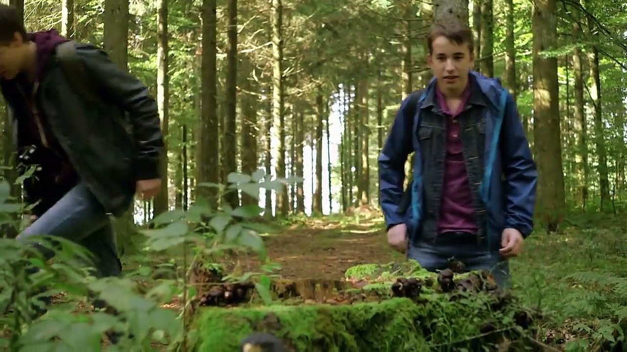 Tiere bis unters Dach Staffel 5 Folge 3