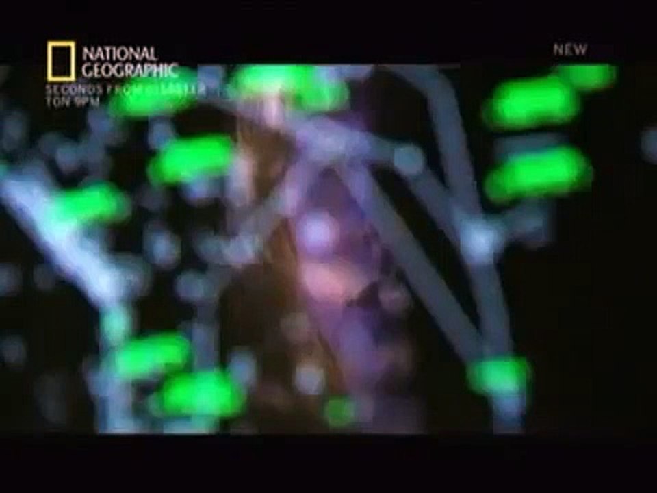 Seconds from Disaster - Se2 - Ep07 HD Watch