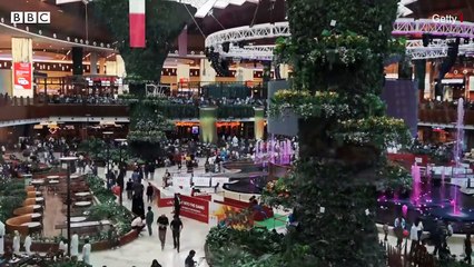 Qatar poor people दुनिया के सबसे अमीर देशों में से एक में ग़रीबी कैसी है (BBC Hindi)