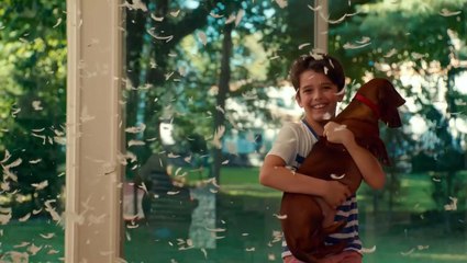 Le Teckel Bande-annonce (EN)