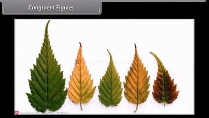 CLASS 9 MATHS TRIANGLES
