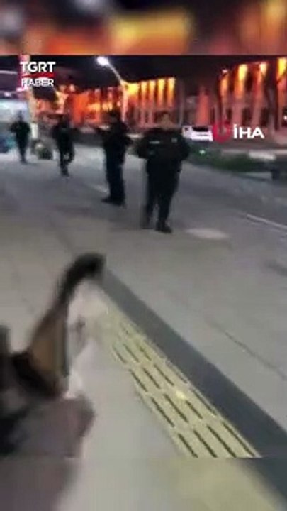 Bayburt'ta İki Arkadaş Sıpalarla Cadde Cadde Tur Attı: Yavaş Git Ceza Yazarlar #shorts #sıpa#bayburt