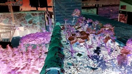 Viaje al otro lado de la realidad.