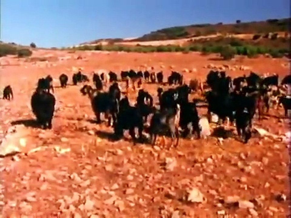 In Search of... - Se6 - Ep21 HD Watch