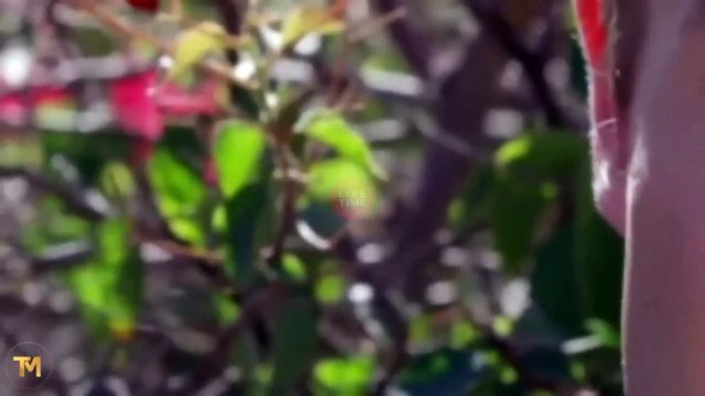 0046 - The Wrong Prince Charming 2022 New Lifetime Movies 2022 #LMN Movies 2022 Based On True Story