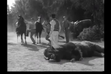 Wagon Train - Se2 - Ep10 HD Watch