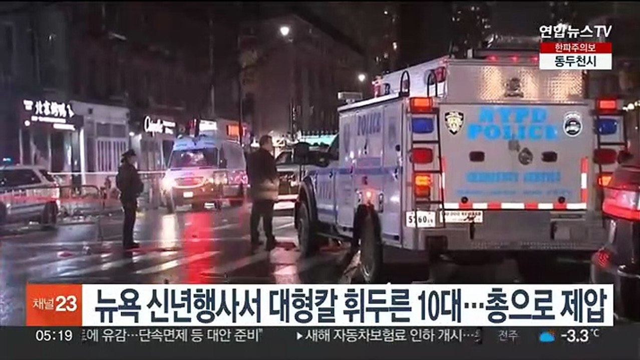 뉴욕 신년행사서 대형칼 휘두른 10대…총으로 제압