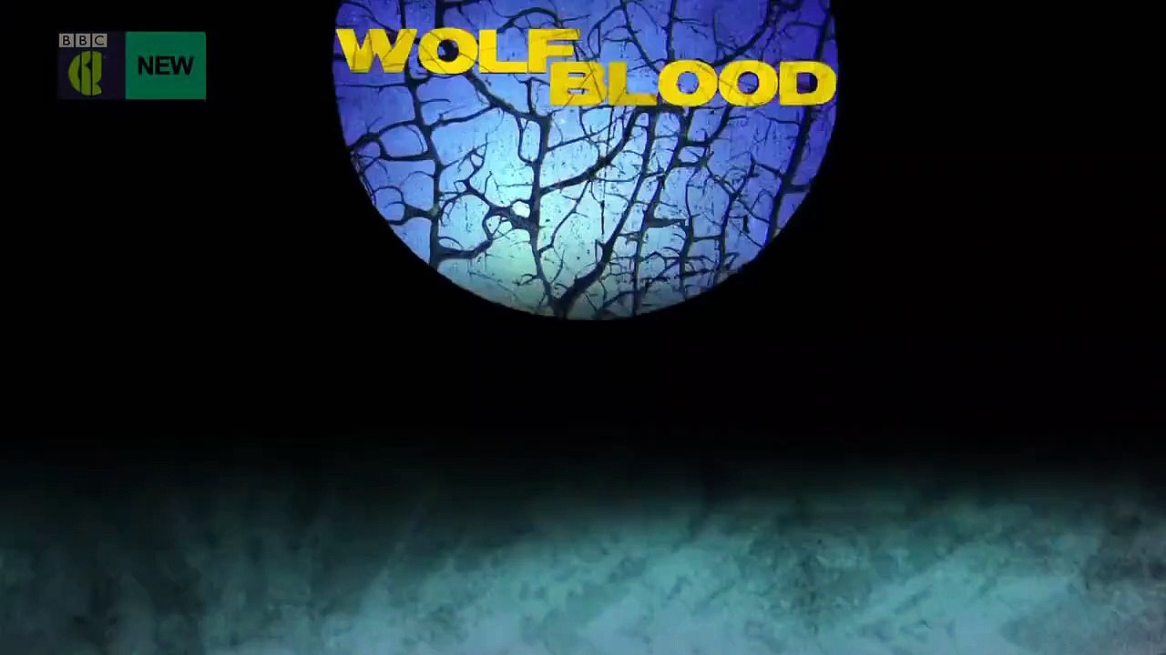 Wolfblood - Se5 - Ep07 - Torn HD Watch