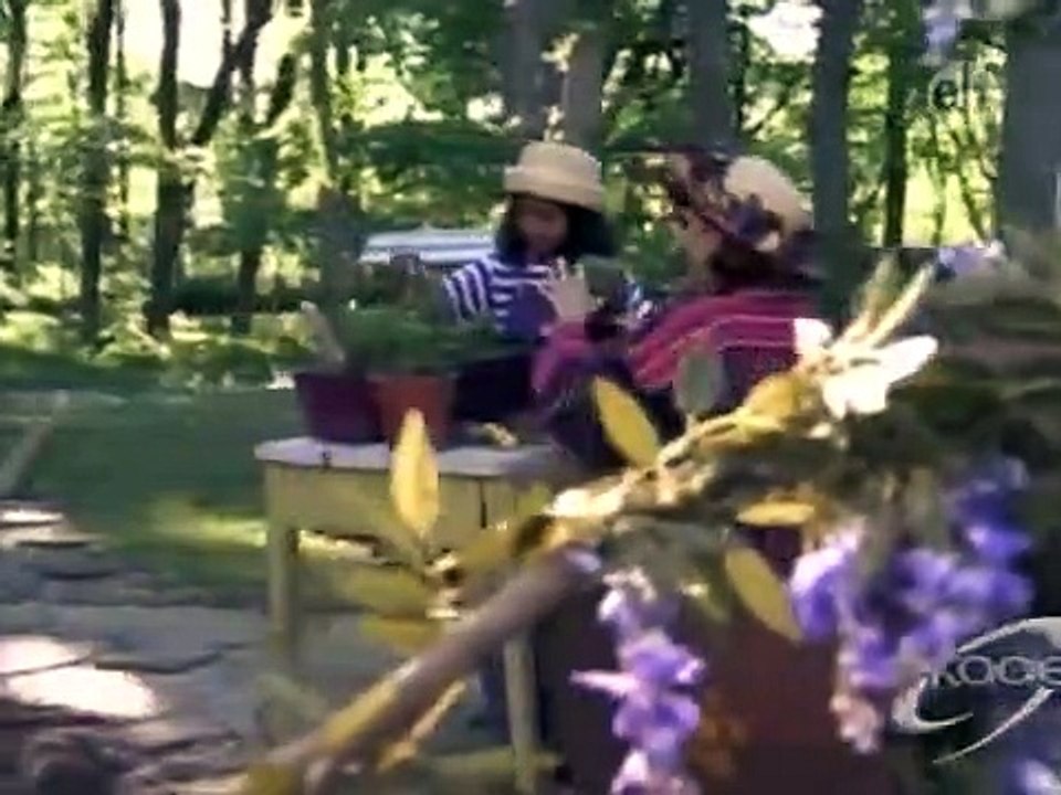 Wishbone - Se2 - Ep09 HD Watch