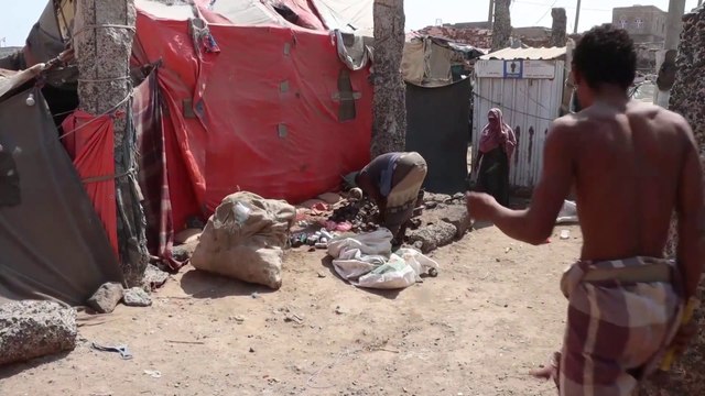 مخيمات النزوح في المناطقِ المحررة بالحديدة والمخا تكتظ بأكثر من 800 عائلة يمنية