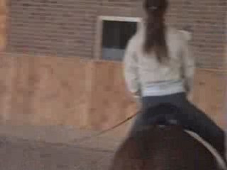 ACTUEEL TROT OK