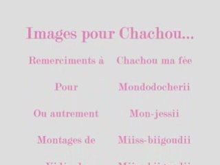 Pour chachou ma fée