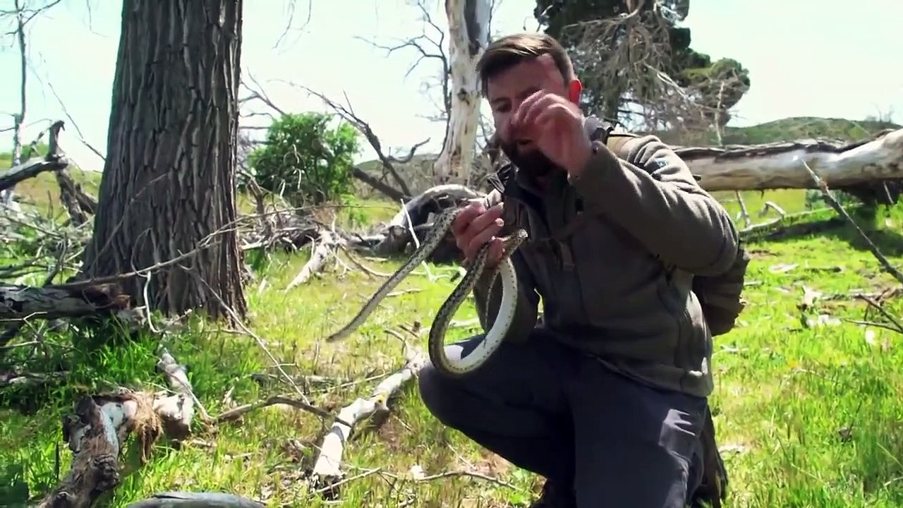 Extinct or Alive - Se2 - Ep10 HD Watch