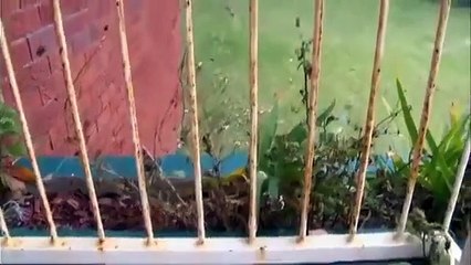 House Rules - Se2 - Ep33 HD Watch