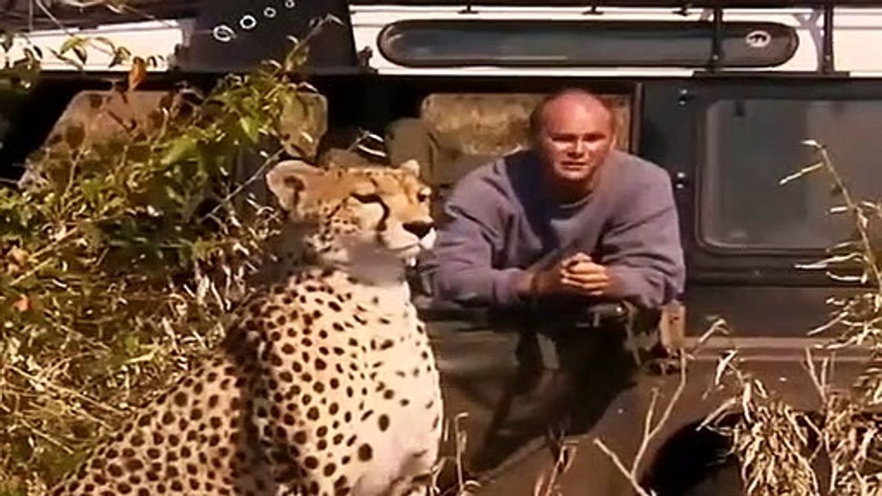 Big Cat Diary - Se2 - Ep09 HD Watch