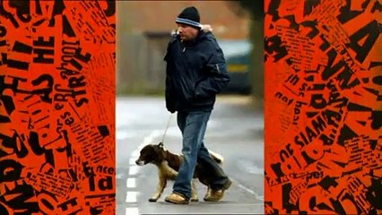 Have I Got News For You - Se31 - Ep01 HD Watch