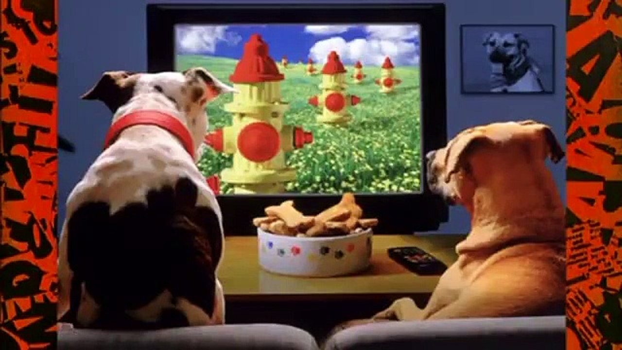 Have I Got News For You - Se30 - Ep07 HD Watch