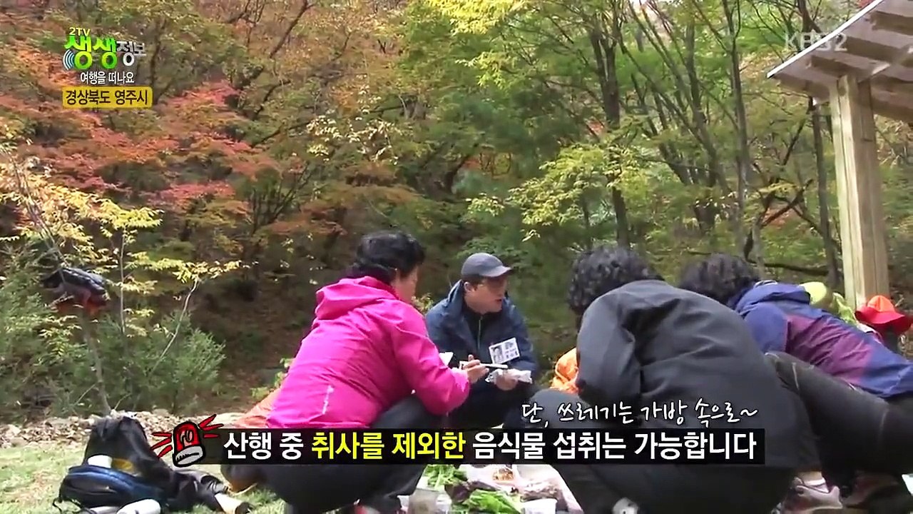 Live Info Show 2 - Ep384 HD Watch