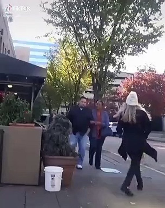 Broma del arbusto vivo 2023