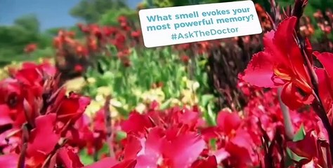 Ask the Doctor S01 E11
