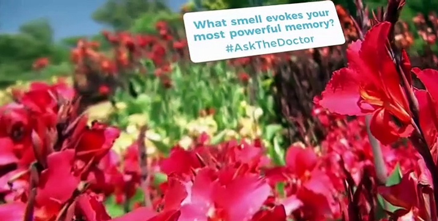 Ask the Doctor S01 E11