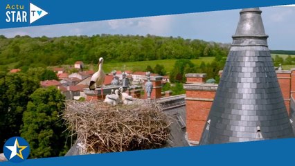 La Vie sauvage des monuments, les résistants : faut-il regarder ce documentaire de France 5 ?