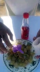 grapes fruit and sting ice cream kulfa recipe.