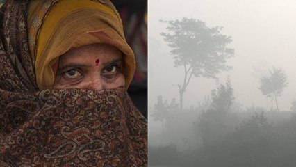 बर्फीली हवाओं ने MP में बढ़ाई ठंड, शीतलहर की चपेट में प्रदेश, घने कोहरे ने घटाई विजिबिलिटी