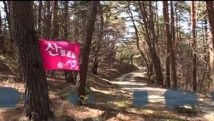 [이시각헤드라인] 1월 2일 뉴스현장