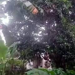 It's amazing. The beautiful scenery