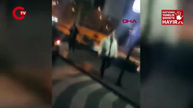 Sosyal medya ayağa kalkmıştı... Esenyurt'ta şiddet gören köpek kurtarıldı: Gözaltına alınan sahibine hayvanseverler tepki gösterdi