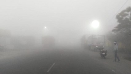 Bundelkhand Ka Mausam: कोहरे के आगोश में 'सागर', कड़ाके की ठंड का दौर शुरू