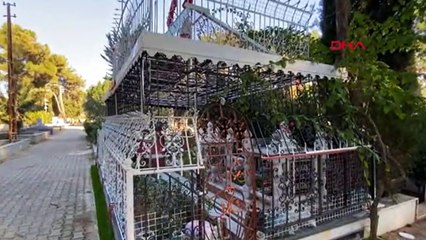 Eşine türbe yapıp kaçak elektrikle aydınlattı