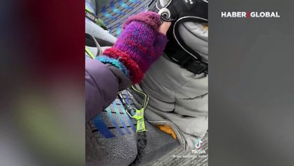 Alaska'da her sabah yuvaya giden köpeklerin görüntüsü viral oldu