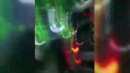 Şiddet gören köpek kurtarıldı