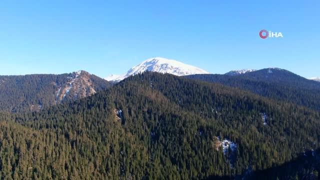 Beyaz örtüyle kaplanan Ilgaz Dağı'nda mest eden kar manzarası