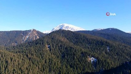 Beyaz örtüyle kaplanan Ilgaz Dağı'nda mest eden kar manzarası