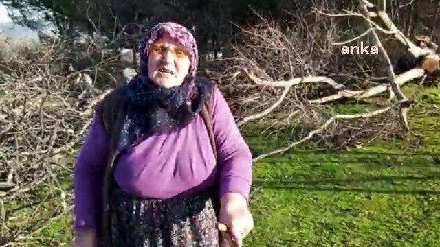 3847fc5f-f958-4949-ab68-e4fd35715955-720