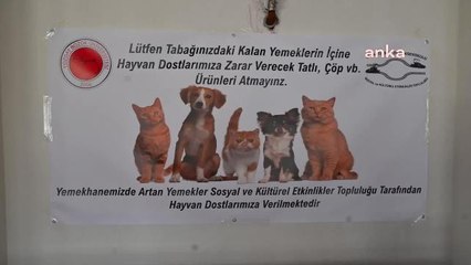 Yozgat'ta Üniversite Öğrencileri Artan Yemekleri Toplayarak, Sokak Hayvanlarını Besliyor
