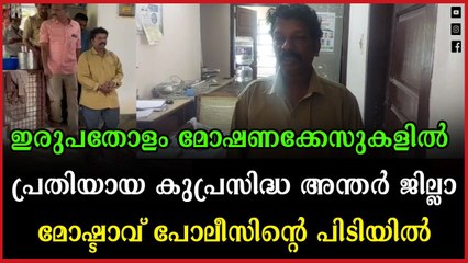 ഇരുപതോളം മോഷണക്കേസുകളിൽ പ്രതിയായ കുപ്രസിദ്ധ അന്തർ ജില്ലാ മോഷ്ടാവ് പോലീസിന്റെ പിടിയിൽ