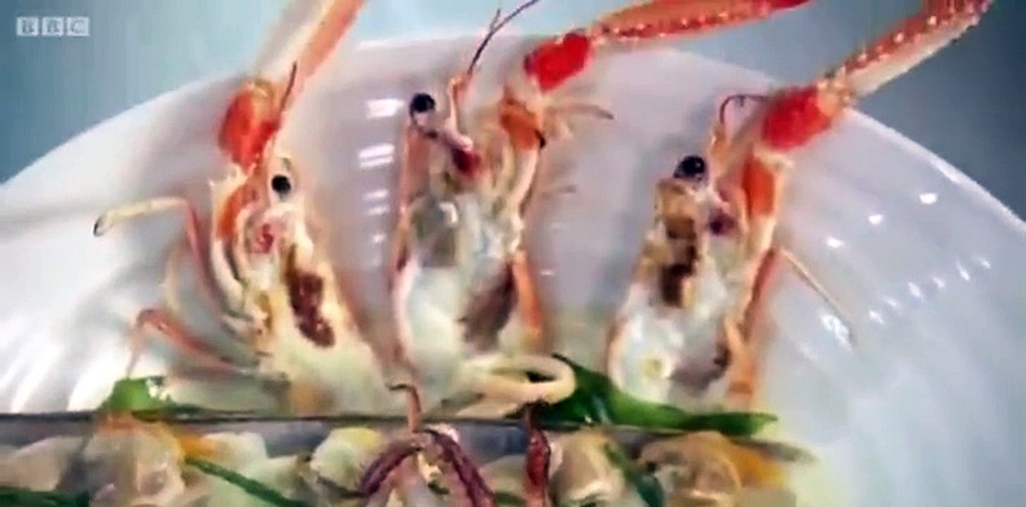 MasterChef - The Professionals - Se6 - Ep11 HD Watch