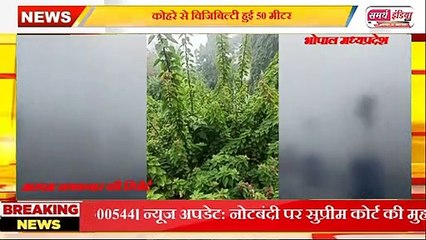 bhopal साल का पहले दिन ठंड से शुरूआत, कोहरे की चादर से ढकी राजधानी