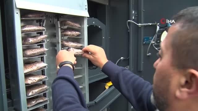 Hem çevreyi koruyor hem de can dostlara mama oluyor