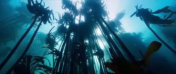 Les Gardiennes de la planète Bande-annonce VF (2023) Heathcote Williams, Jean-Albert Lièvre