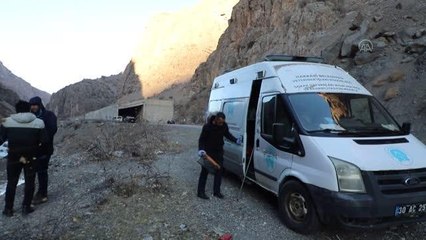 Zap Suyu'nun karşı tarafında mahsur kalan köpek botla kurtarıldı