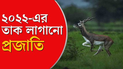 ২০২২-এর তাক লাগানো ১৫ নতুন প্রজাতি